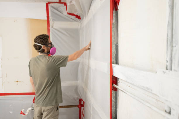 Highland Park, TX Mold Removal Company